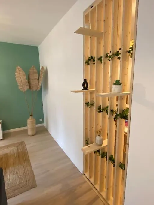 The Cosy Home Centre Ville Parking Clim Valence  Apartment