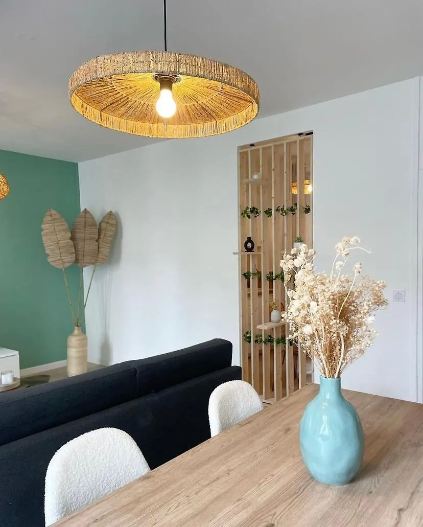 Apartment The Cosy Home Centre Ville Parking Clim Valence